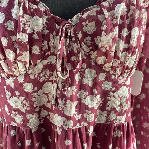 Altar'd State Teresa Floral Long Sleeve Mini Dress