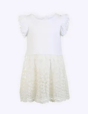 Frilled Sleeve Lace Dress