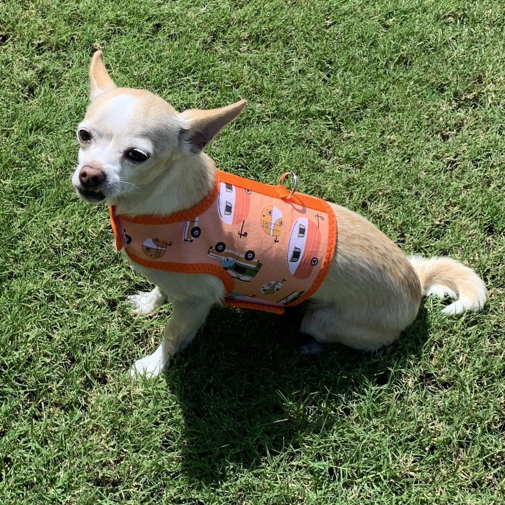 Mid Century Modern Camper Print Dog Vest Harness