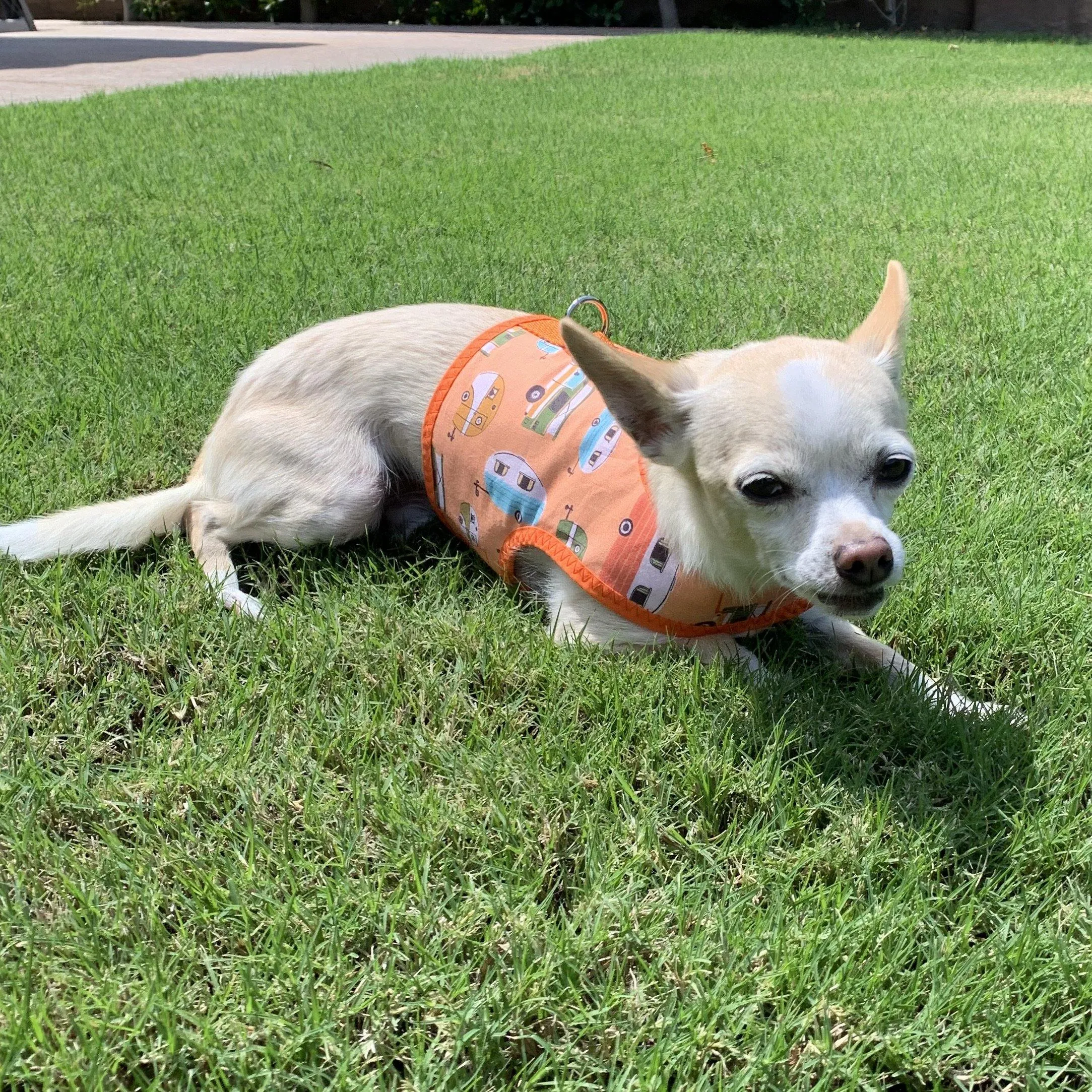 Mid Century Modern Camper Print Dog Vest Harness